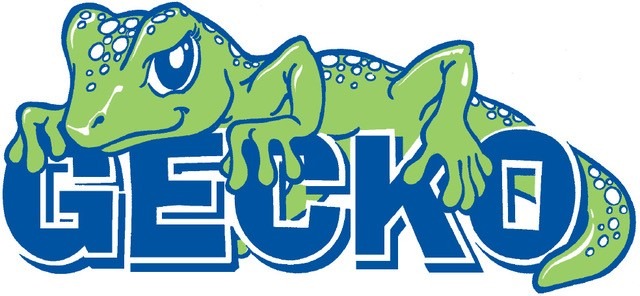 Gecko kids orthotics logo