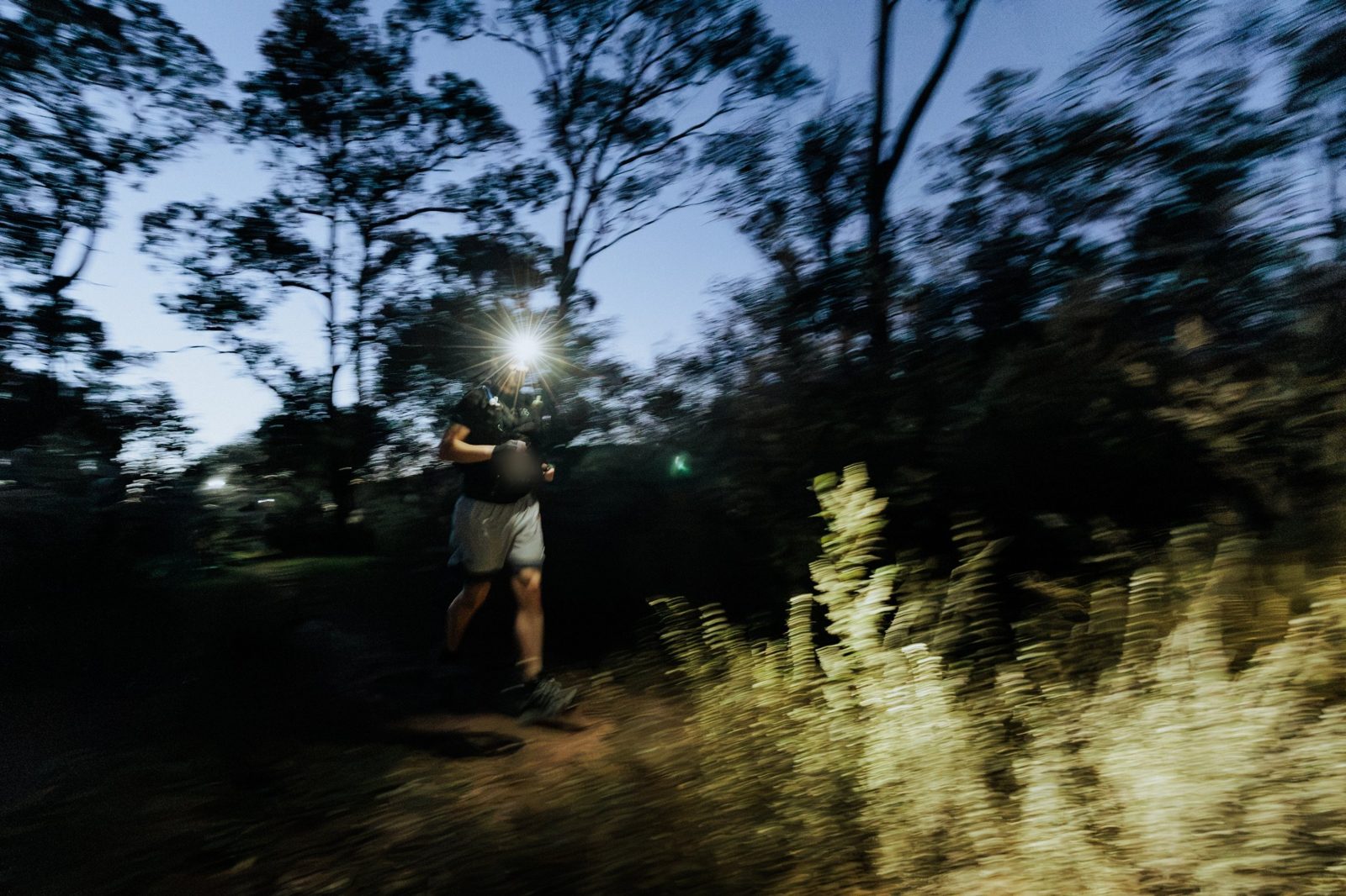 A trail runner with a head torch running through the bush at dawn